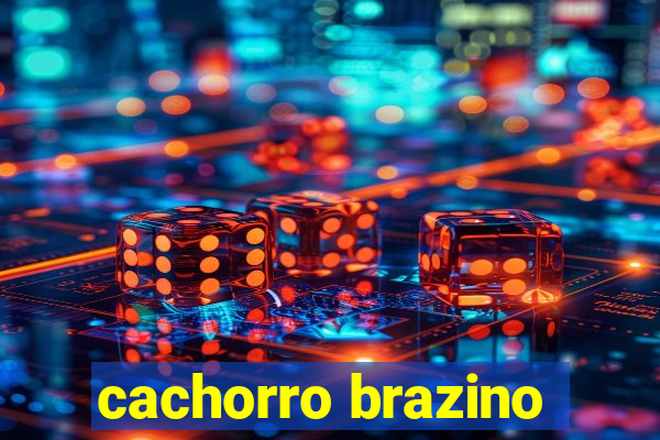 cachorro brazino